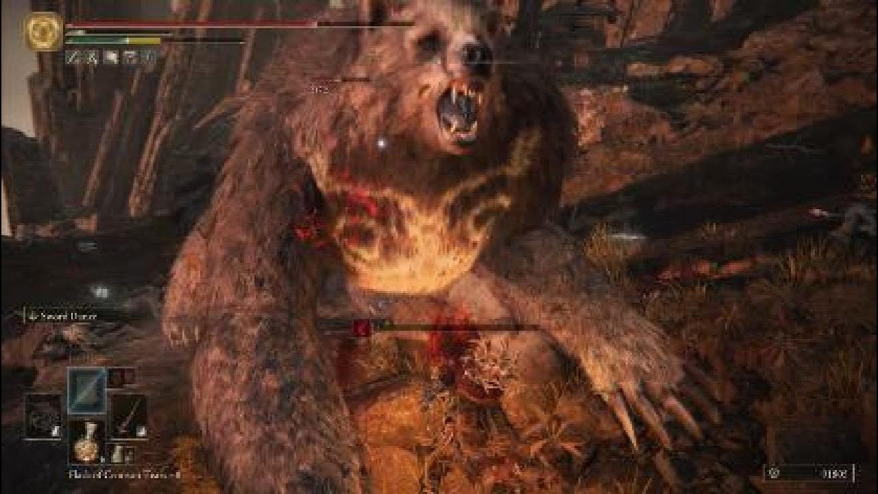 Lesser Runebear [ Hermit's Shack ]