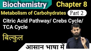 Citric Acid Pathway || Crebs Cycle || TCA Cycle