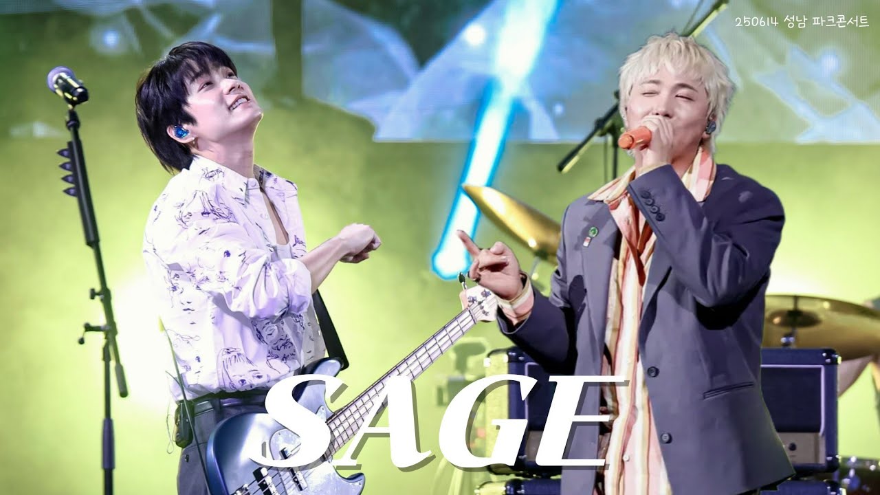 [4K] 250614 성남 파크콘서트 SAGE