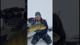 IJsvissen op grote baars | Lake Cascade