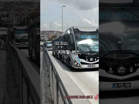 중국이 세계에서 가장 편한 나라인 이유 놀라운 현실 🇨🇳