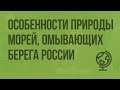 Особенности природы морей, омывающих берега России. Видеоурок по географии 8 класс