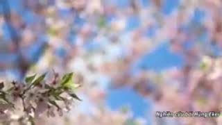 intro 445