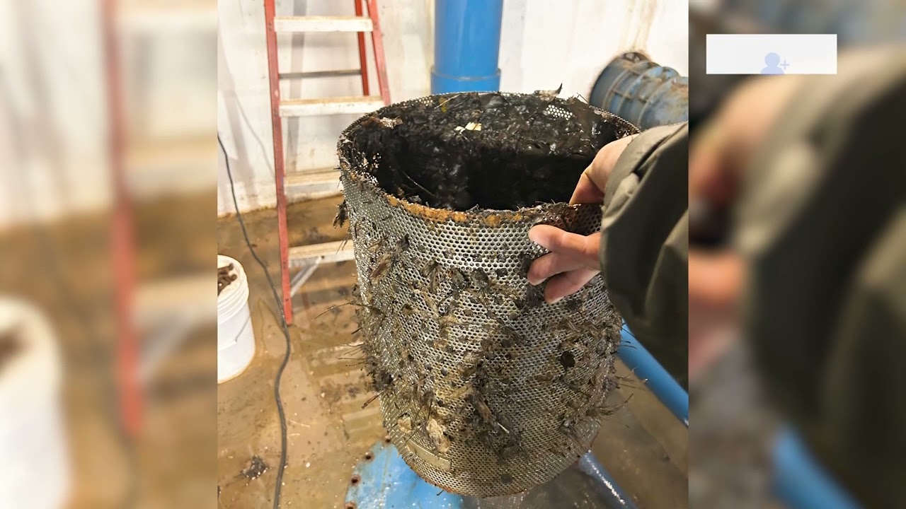 Summer Maintenance Tips