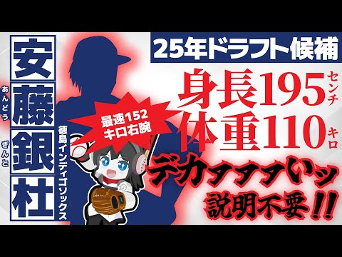 【ドラフト2025】 ロマン抜群超大型右腕‼ 身長195㎝体重110㌔Max球速152㌔‼ 安藤銀杜投手（徳島インディゴソックス）