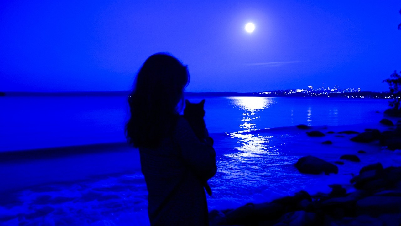 finding comfort in the quiet glow of the moon