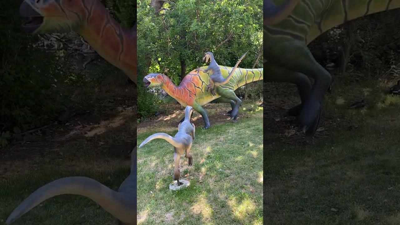 Hiking While High: Back In Time!