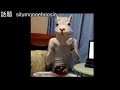 声を発しながら撮影準備
