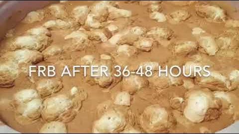 The Aquamimicry Fermented Rice Ban