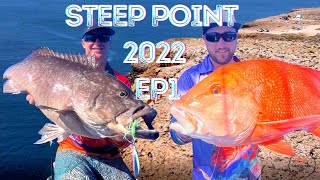 Steep Point 2022 EP1 Red Emperor, Rankin, Pearls and Yellowfin Tuna. Fishing remote Australia