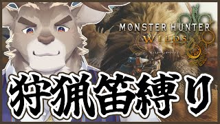 【モンスターハンターワイルズ】笛で一狩るぞ！！！！ストーリ攻略その１（ネタバレあり）【Vtuber/ダン坊】