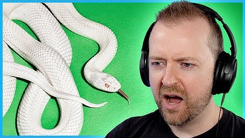 Het nieuwe album van Deftones verbaasde me