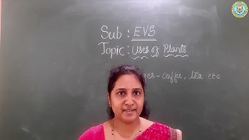 Bridge Course : Grade 3 - Environmental Science - Uses of Plants