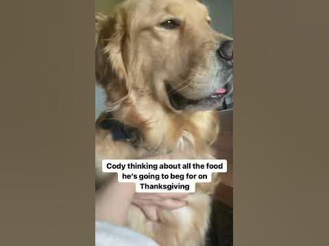 European weather model for thanksgiving