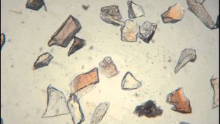 Andalusite Pleochroism