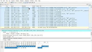 investigating network loops
