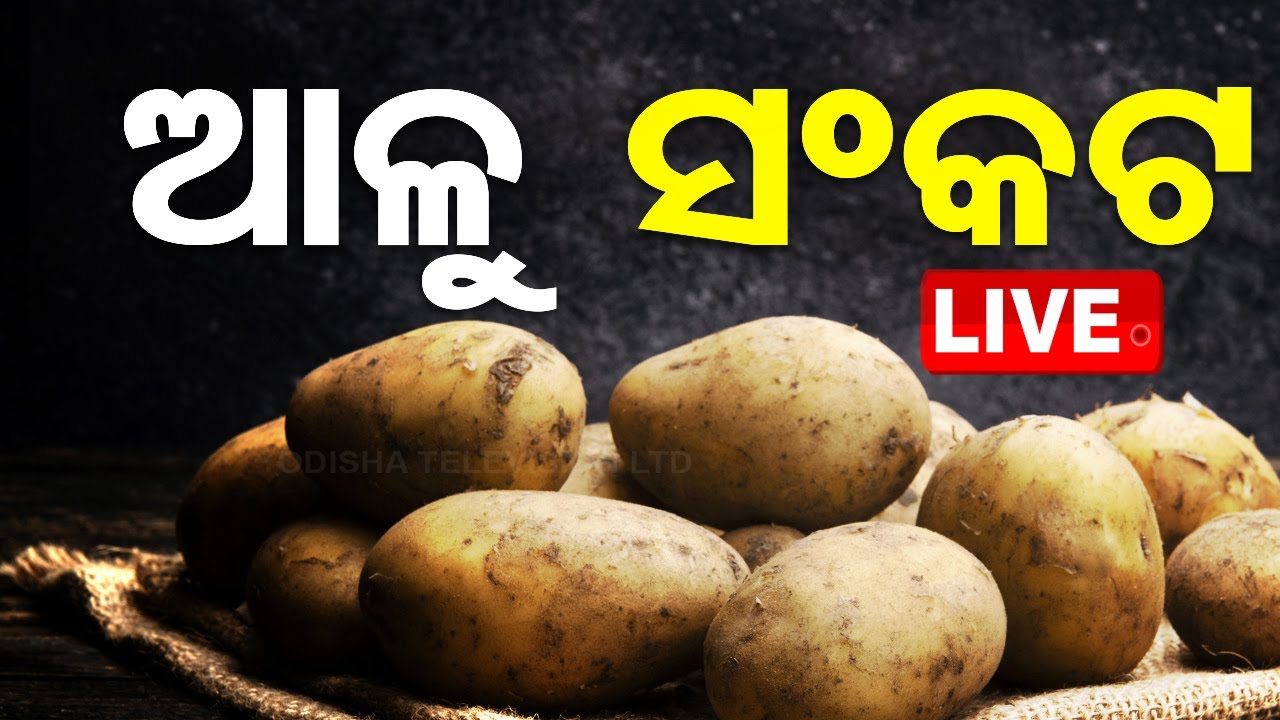 ????Live | ରାଜ୍ୟରେ ଆଳୁ ସଂକଟ | Skyrocketing prices of potato  Live | Odisha TV | OTV