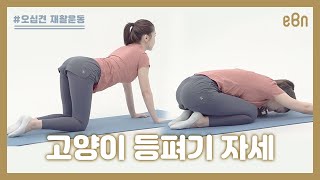 [오십견 재활운동] 고양이 등펴기 자세