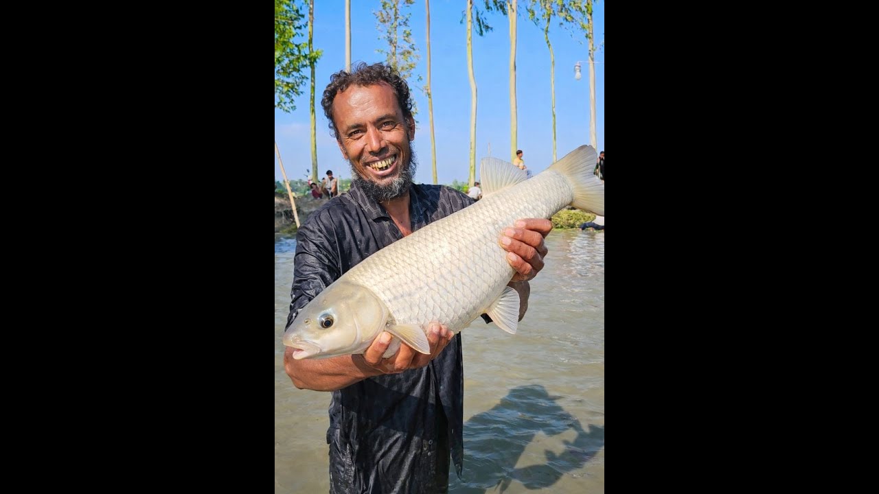 😱 Village Fisherman Catches a GIANT Carp by Hand! Unbelievable Moment 🎣🔥 | Saima Fishing