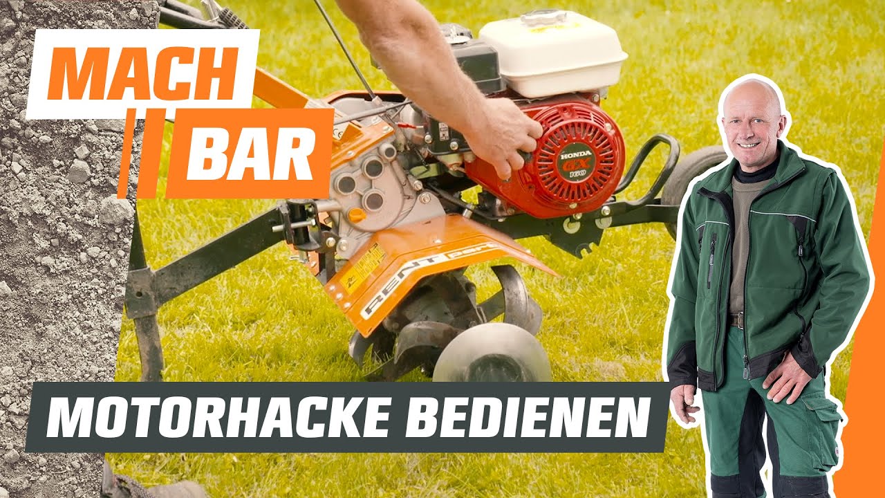 bananenpflanze wasserbedarf Banane 