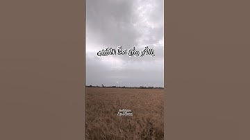 سوره النساء An-Nisaa #سورة_النساء #محمد_الليثي #اكسبلور#قران_كريم#قرآن #ارح_سمعك #قمح #explore #مصر