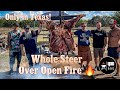 Whole cow aka steer cooked over open fire only in texas