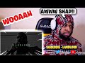 NASTY C PLEASE REPLY!! Sarkodie - Landlord (Lyrics Video) (REACTION)