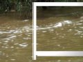 Delaware Online News Video: Children rescued from Brandywine
