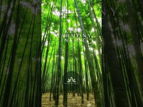Regardez KEEP HARMONY INSIDE sur YouTube