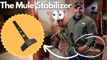 The Mule Stabilizer | Danny Alba