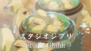 힐링 사운드트랙 : 지브리 음악 💖 Studio Ghibli의 편안한 음악 4 시간 ✨ 이웃집 토토로