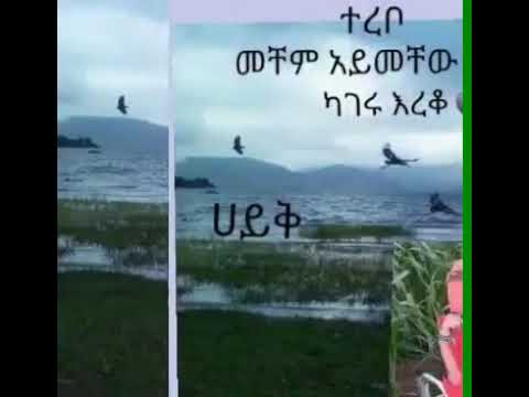 ቪዲዮ: በካንኩን ውስጥ ዝናብ ሲዘንብ የሚደረጉ ነገሮች