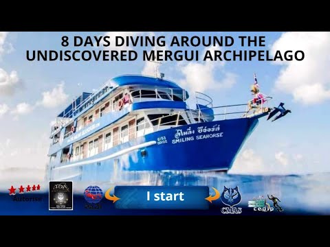 🚢8 days diving