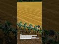 Precision Multi-Row Plowing Power in Action #FarmingTech #TractorLife #AgriPro