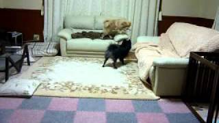 P1080108.MOV