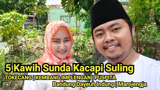 KAWIH SUNDA KACAPI | 5 LAGU KAWIH PILIHAN | TOKECANG |