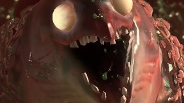 The FASTEST COHOZUNA EVER