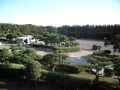 辻堂海浜公園　交通公園スカイサイクル