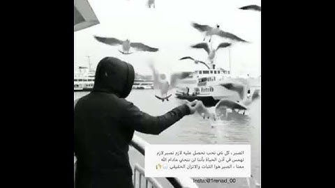 تلاوه رائعه بصووت الشيخ ماهر المعيقلي - حالات واتس قران كريم