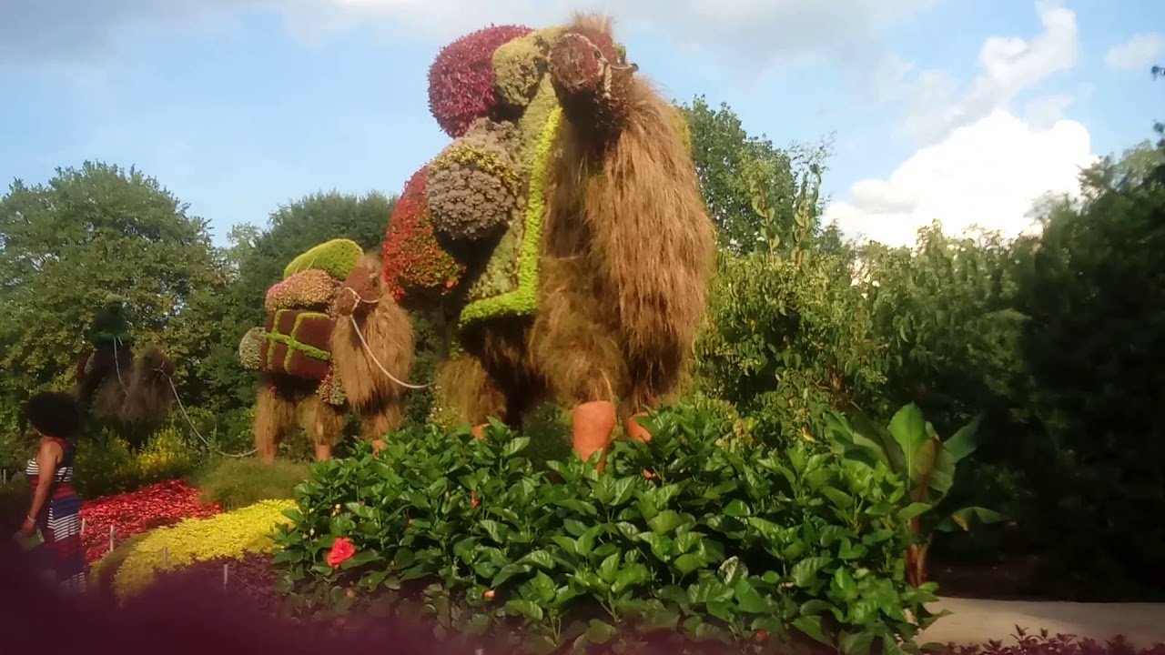 Atlanta mechanical Garden trip first vlog YouTube