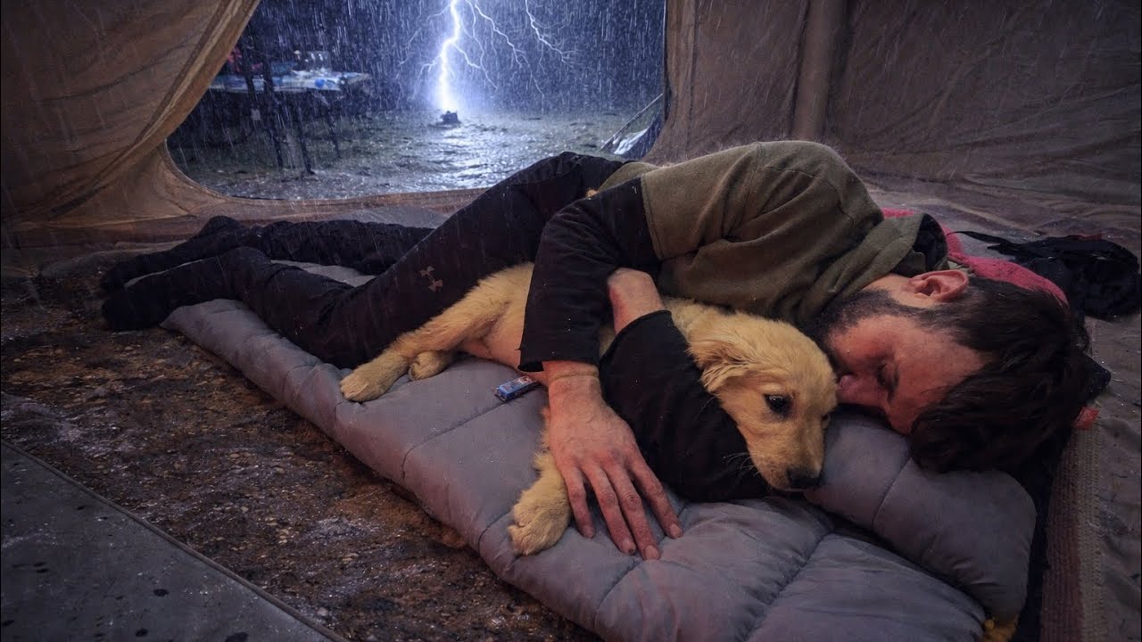Попал под ливень с моей собакой! - Жаркий отдых в палатке под проливным дождем! - НОВОЕ ВИДЕО