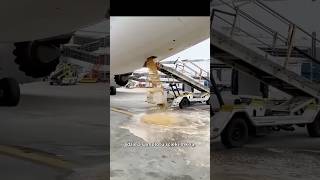 Dziwne Rzeczy, Które Się Dzieje Z Twoimi Odpadami