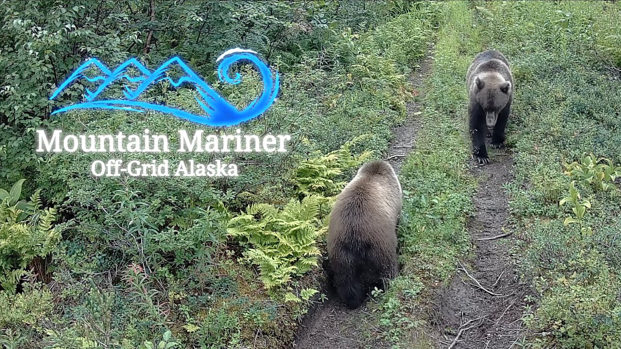 Off-Grid Always | Alaska - YouTube - Off Grid Apartment In A Always Always Always Always Connected Community