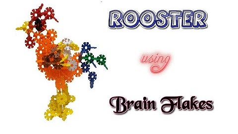 How to build a Rooster using Brain Flakes | Brain Flakes instructions | Kids Videos.