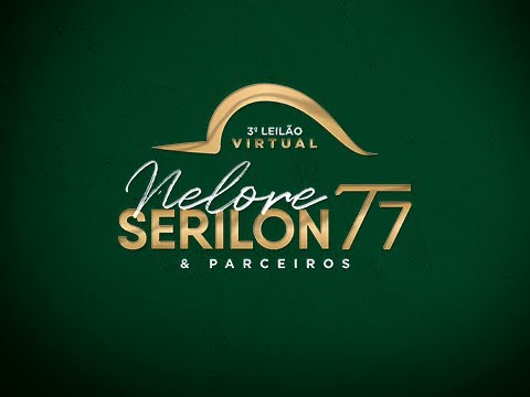 Lote 23   Resenha FIV Serilon   SERI 271 Copy