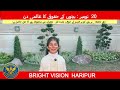 World Children’s Day Celebration at Bright Vision – 20 November
