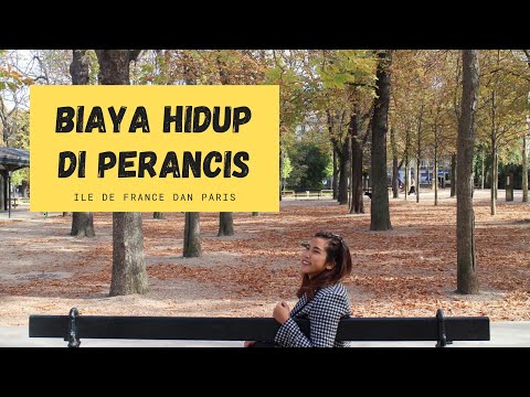 Video: Apa Yang Anda Perlukan Untuk Visa Ke Perancis