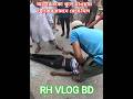 অটোর চাকা খুলে নিয়ন্ত্রণ হারিয়ে ট্রাকের সামনে মেরে দিয়ে অটো চালক গুরুতর আহত
