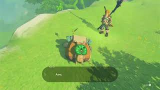 Korok Seed 48-49, Ebon Mountain | The Legend of Zelda: Tears of the Kingdom