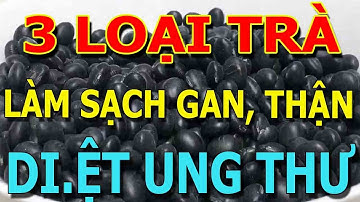 CẢNH BÁO Người Đến Tuổi 50 CỨ UỐNG 3 LOẠI TRÀ chữa cả tỷ bệnh THẦN DƯỢC 100 triệu đồng